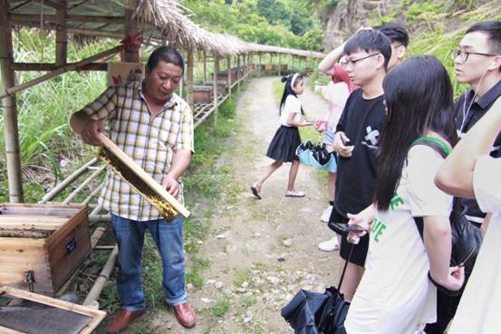 ”善行景宁乡，共圆畲汉梦“色情av影片
景宁梦之队-实地调研当地养蜂业